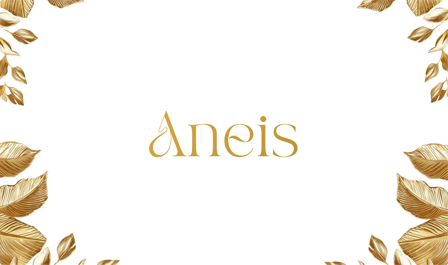 ANÉIS
