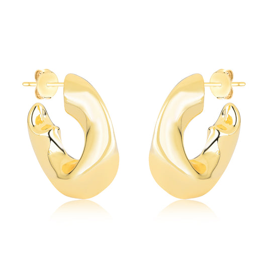 Brincos Argola Orgânica